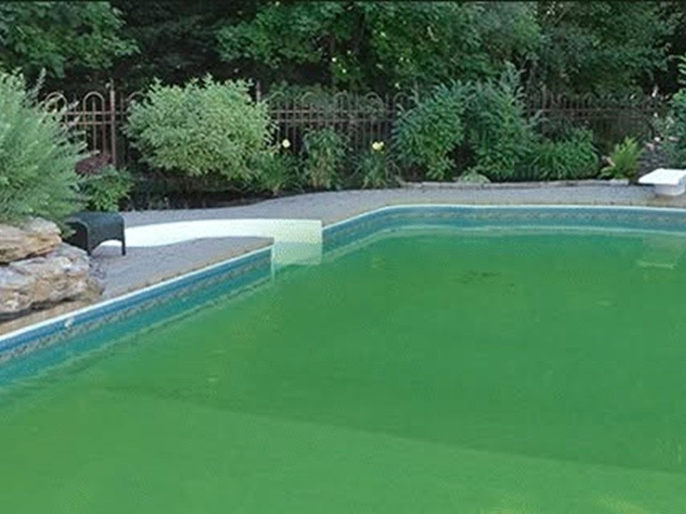 Lire la suite à propos de l’article L’EAU VERTE