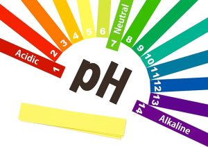 Lire la suite à propos de l’article L’ALCALINITE OU LE PH