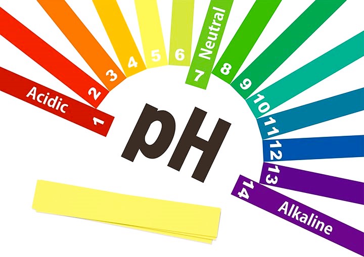 Lire la suite à propos de l’article L’ALCALINITE OU LE PH